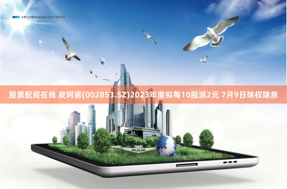 股票配资在线 皮阿诺(002853.SZ)2023年度拟每10股派2元 7月9日除权除息