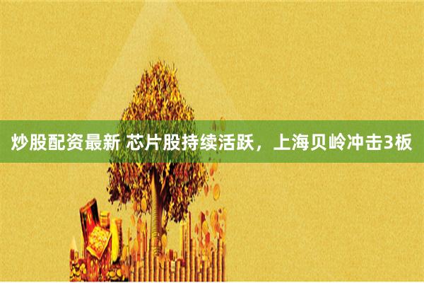 炒股配资最新 芯片股持续活跃，上海贝岭冲击3板