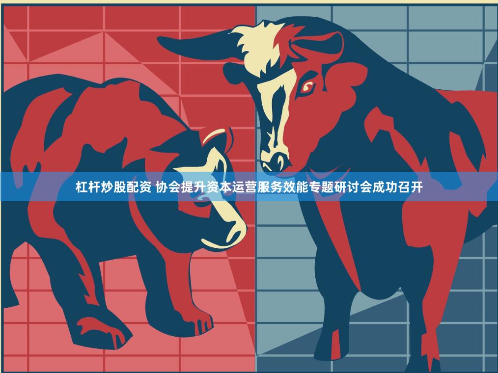杠杆炒股配资 协会提升资本运营服务效能专题研讨会成功召开