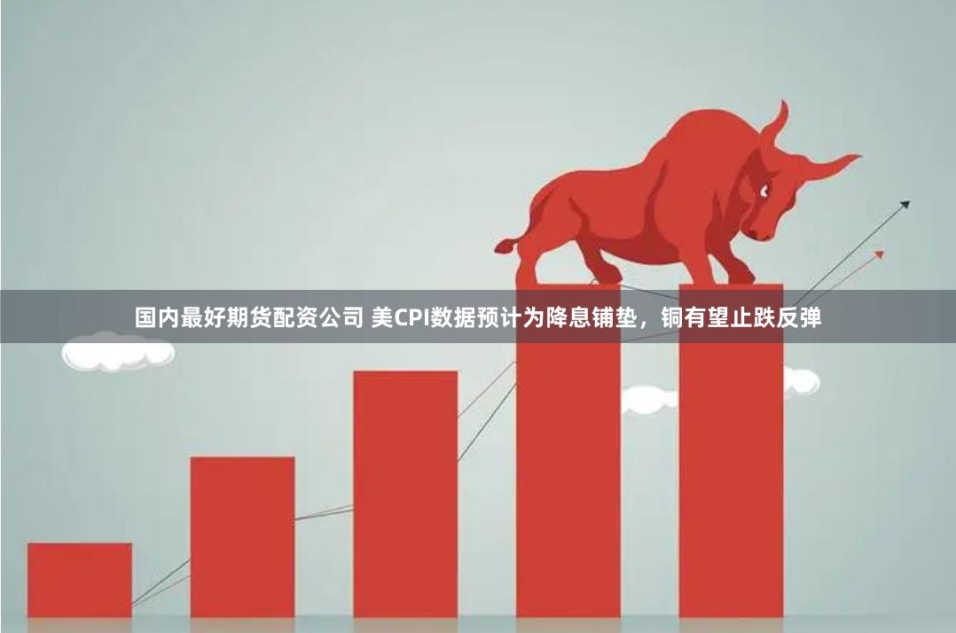 国内最好期货配资公司 美CPI数据预计为降息铺垫，铜有望止跌反弹