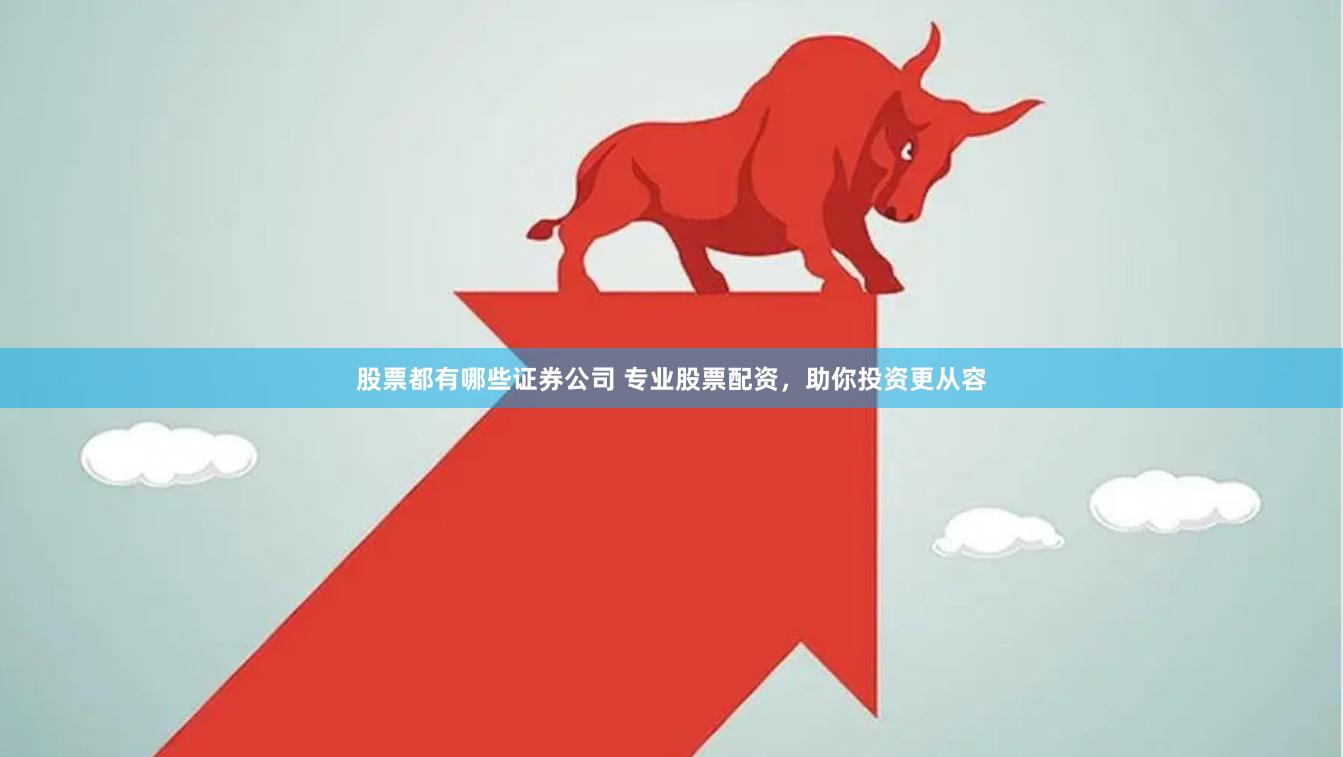 股票都有哪些证券公司 专业股票配资，助你投资更从容